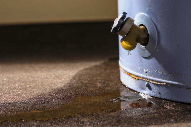 Sewage cleanup and water damage restoration in NM