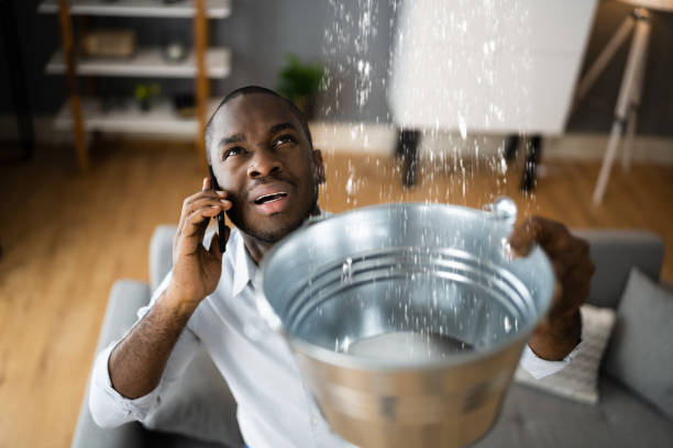 Best Flood restoration services  in Mesilla, NM