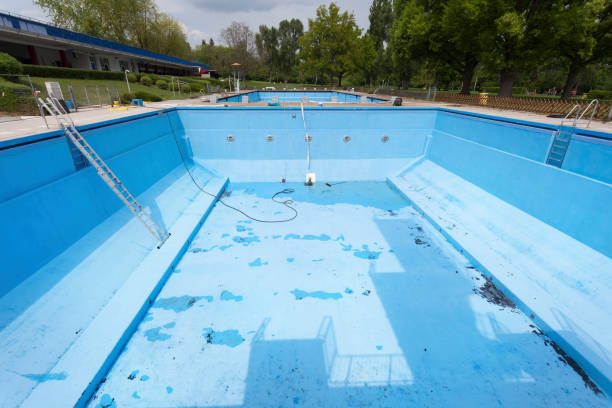 Best Mold removal after water damage  in Mesilla, NM