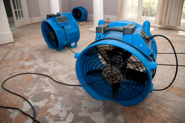 Best Basement water damage restoration  in Mesilla, NM