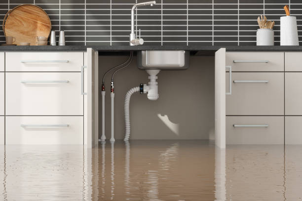 Best Commercial water damage restoration  in Mesilla, NM