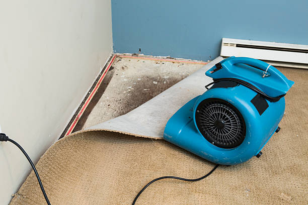 Best Commercial water damage restoration  in Mesilla, NM